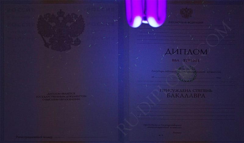 Диплом бакалавра 2004-2009 год  