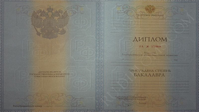 Диплом бакалавра 2010-2013 год  